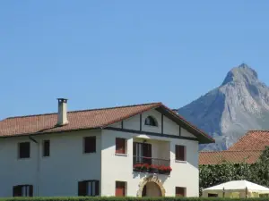 Lizargarate