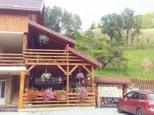 Pensiune la Becu