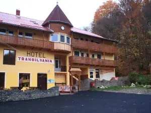 Vila Transilvania