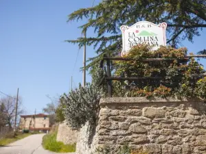 Agriturismo la Collina Toscana