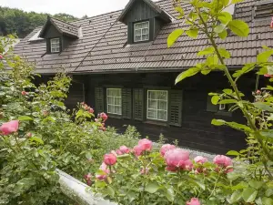 Das Altsteirische Landhaus - la Maison de Pronegg - Feriendomizil im Biosphärenpark Wienerwald