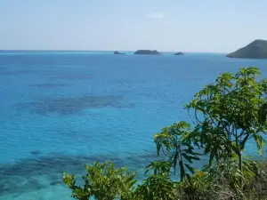 Maracaibo View