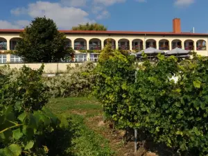 Hotel Rebschule