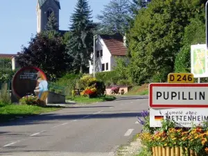 Chambres d'Hôtes POM' Paille
