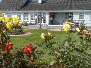 Villa Pio Accommodation Cong