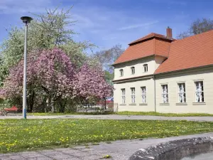 Schloss Plaue