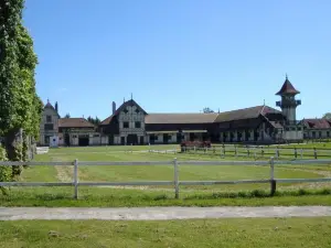 Haras de Blingel