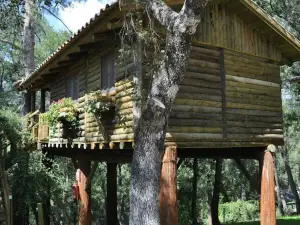 Los Nidos de Santa Maria