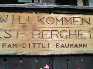 Gasthaus Bergheim