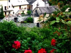 B&B Alpe Veglia