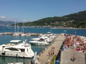 Affittacamere la Lanterna