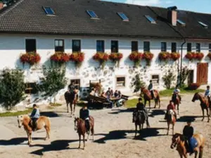 Reiterhof Stoglehner
