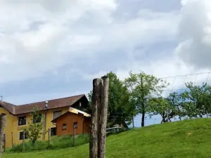 Gasthof-Pension Silvia