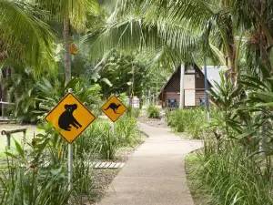 Bounce Magnetic Island and Koala Park - Formerly Roamer