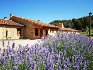 Hotel Del Verde Al Amarillo