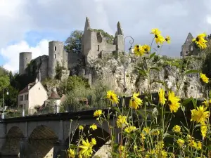 Le Relais du Lyon d'Or