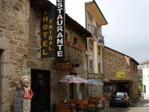 Hostal Tribal