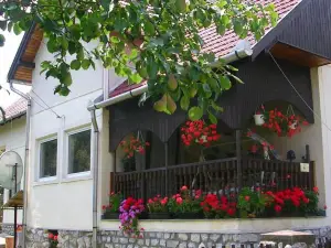 Czako Vendeghaz es Nyaraloudvar