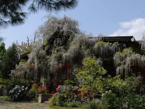 Garten Vendeghaz