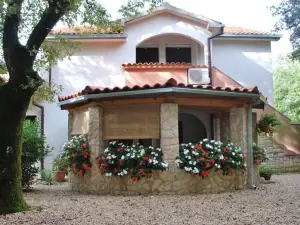 Apartments Barbara