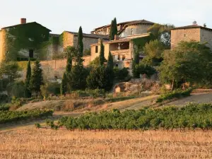 Puechblanc Gîtes et Chambre d'hôte Dans le Triangle d'or Gaillac-Albi-Cordes Sur Ciel