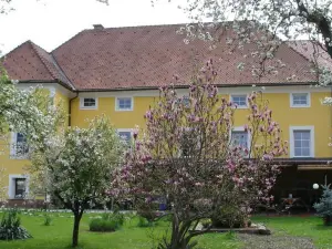 Guest House Čater