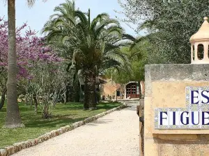 Petit Hotel Es Figueral