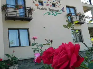 Pensiunea Casa cu Flori