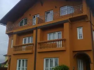 Pensiunea Montana Sapinta