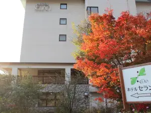 Hotel Selan