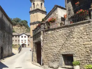 Fonda Carrera