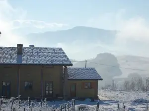 Agriturismo Il Filare