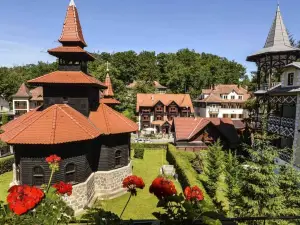 Vila Rigo Sovata