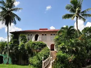 Banana Bank Lodge & Jungle Horseback Adventures