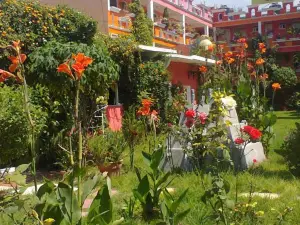 Hotel Posada Tolteca