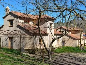 Casas Rurales Camino del Castaño