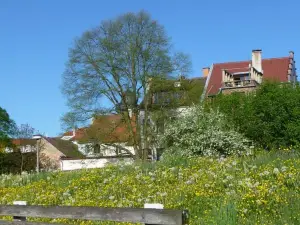 Pštrossova Vila - u klášterní Zahrady