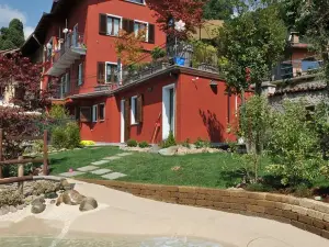 아피타카메레 벨베데레