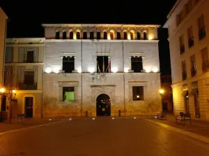Hotel Avenida Plaza