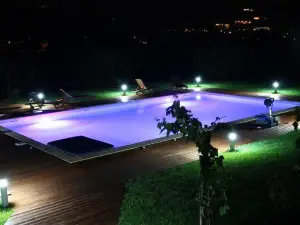 La Gabbianella e il Gatto