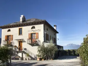 Fattoria l'Amorosa