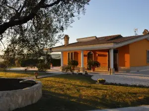 B&B Agrifoglio