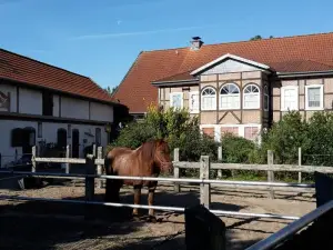 Ferienhof Hanum