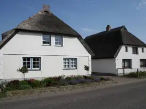 Prise1 Ferienwohnung Breege