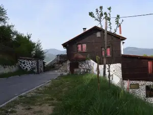 Александрова вила 1