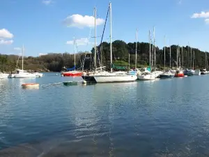 Le Chêne