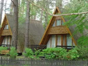 Nowa Holandia
