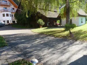 Rommelehof