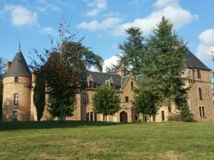 Château de Bussolles & 2 gîtes