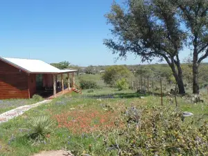 Texas T Bed and Breakfast
